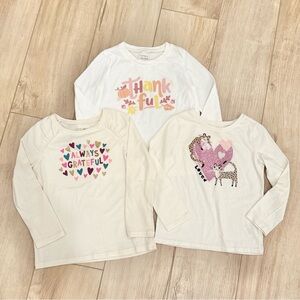 Girls Long Sleeve Graphic Tees Lot of 3 all Size 4T - Grateful, Thankful, Loved
